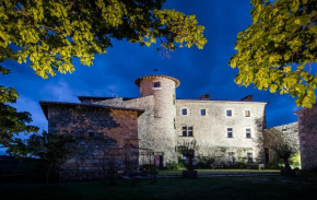  Chateau du Besset  Сен-Ромен-Де-Лер